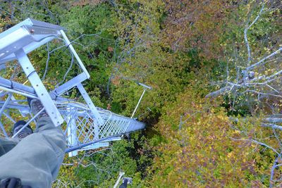 aerial view of a deciduous forest in the fall taken from a high tower