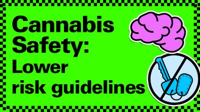 A bright green cannabis safety graphic.