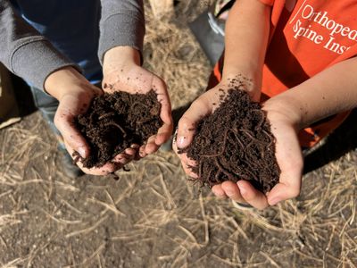 Two pairs of hands holding soil with worms inside of it