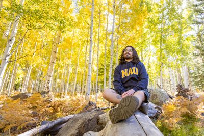 Person sitting on a fallen tree trunk in a forest of aspen trees with yellow foliage. The surroundings feature bright yellow leaves on the trees, creating a vibrant and colorful autumn scene.