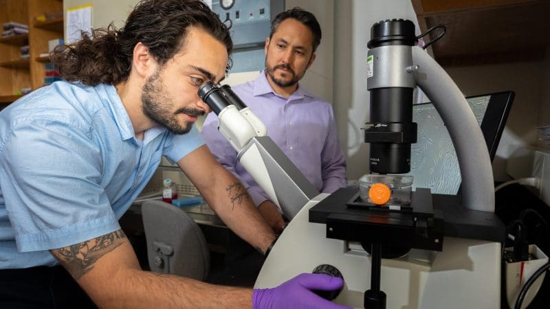 student looking an microscope while faculty member looks over their shoulder in the background