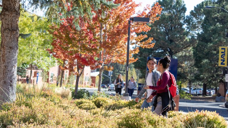 Students walking outside on campus during fall.