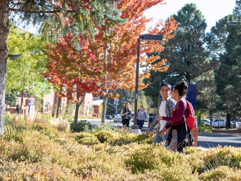 Students walking outside on campus during fall.