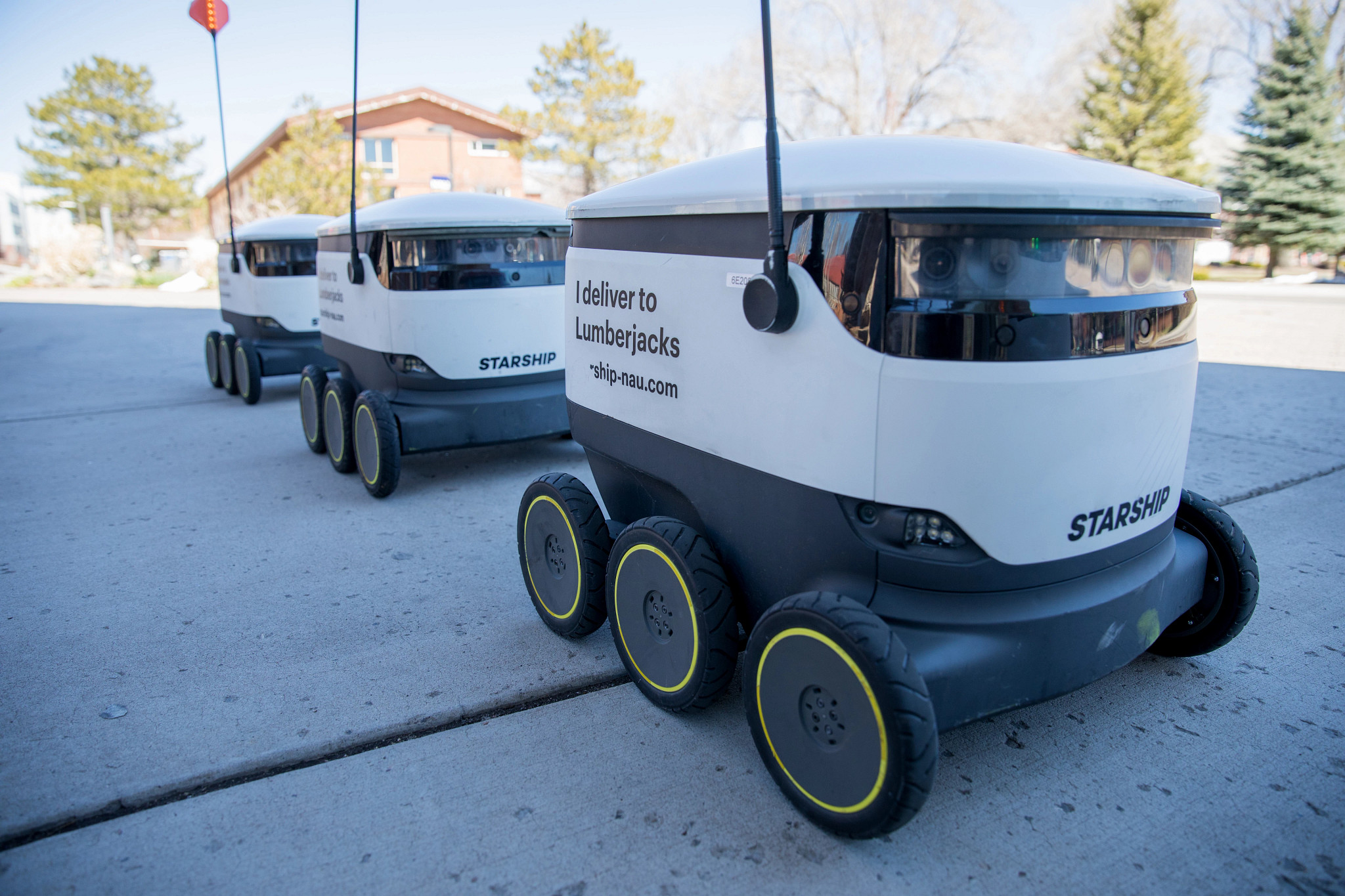 Food delivery robots in a line.