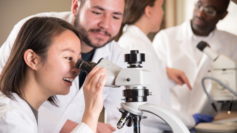 Student wearing lab coat looks into microscope.