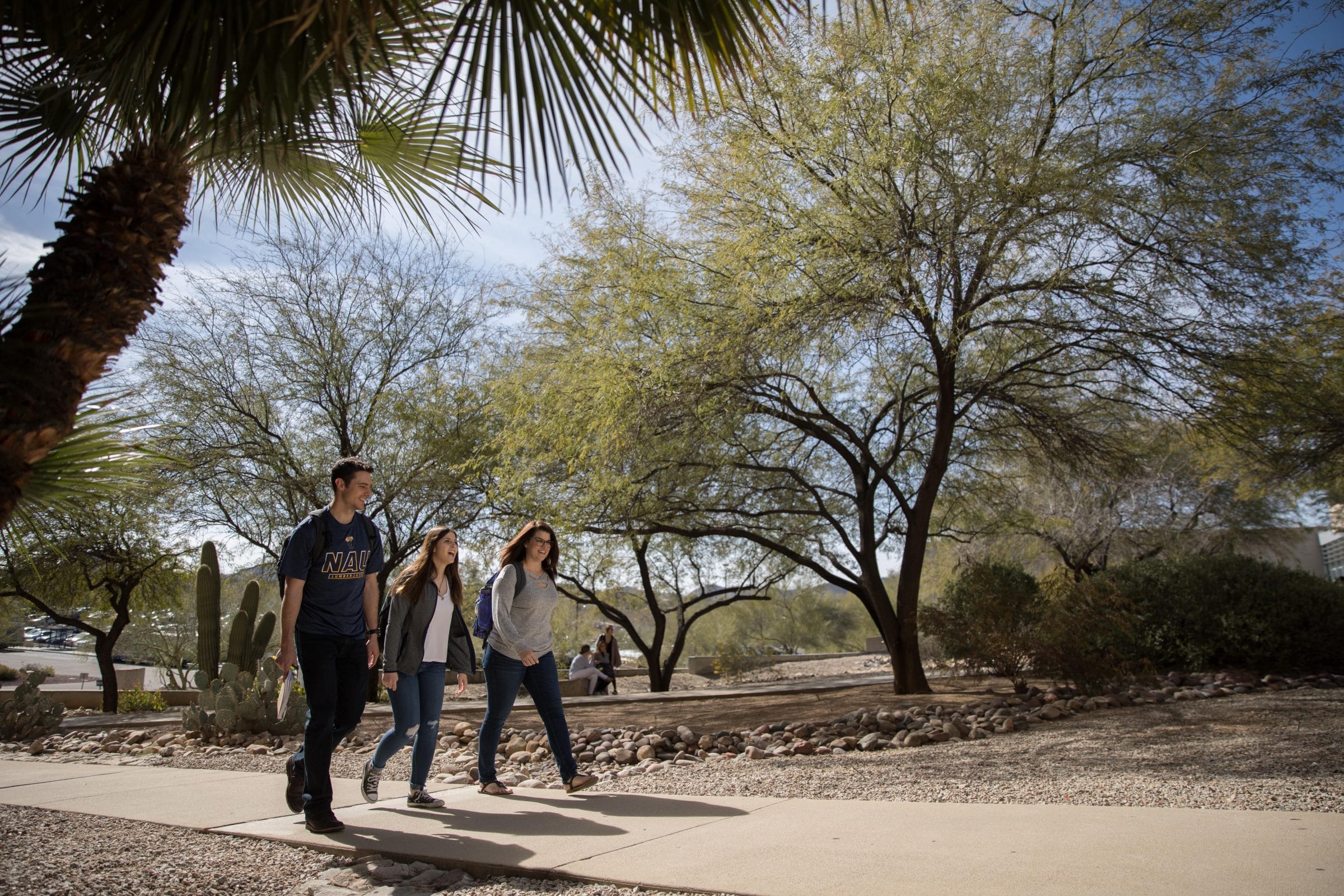 Students walk on sidewalk under desert trees.