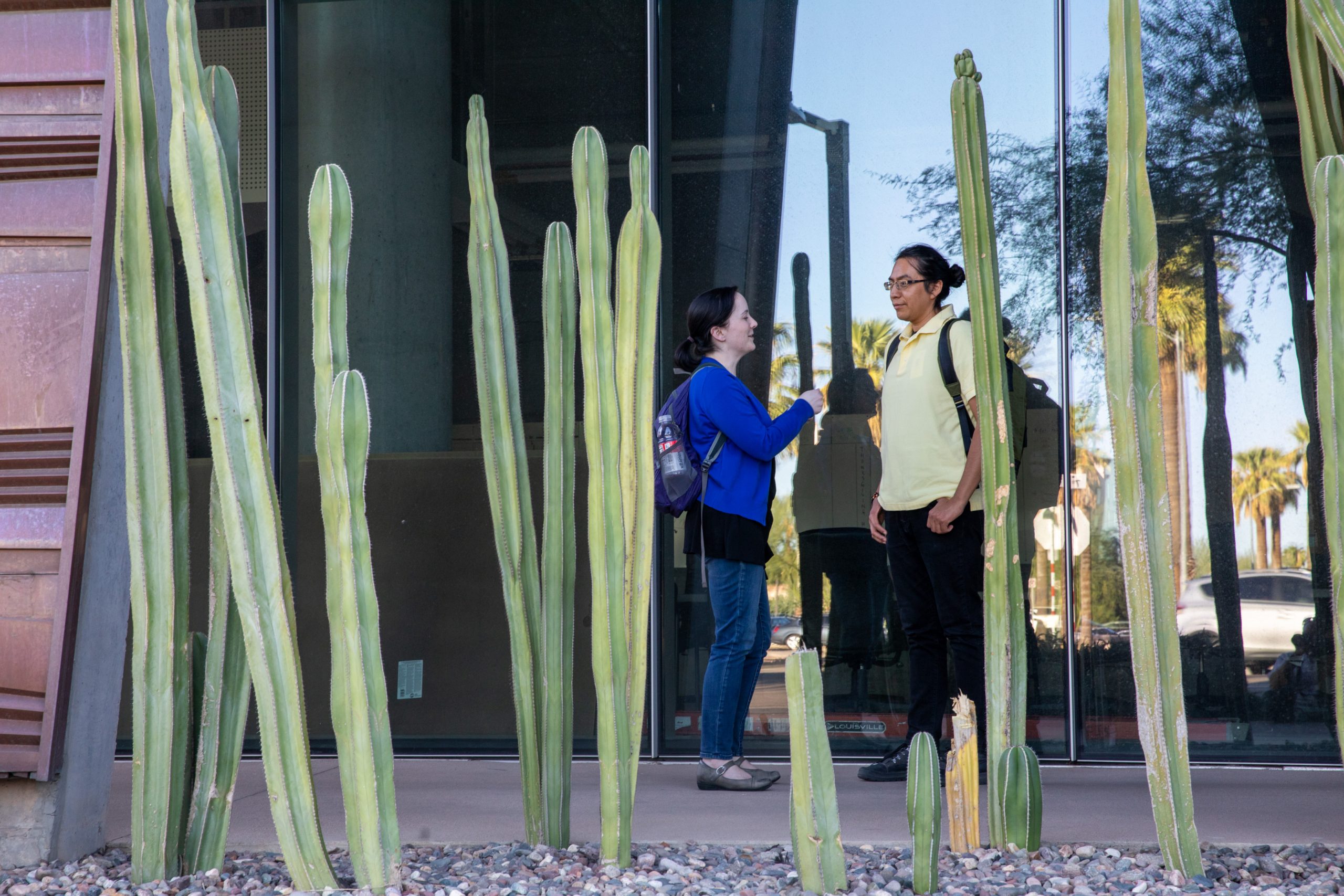 Students chatting outside near cacti at an NAU statewide campus.