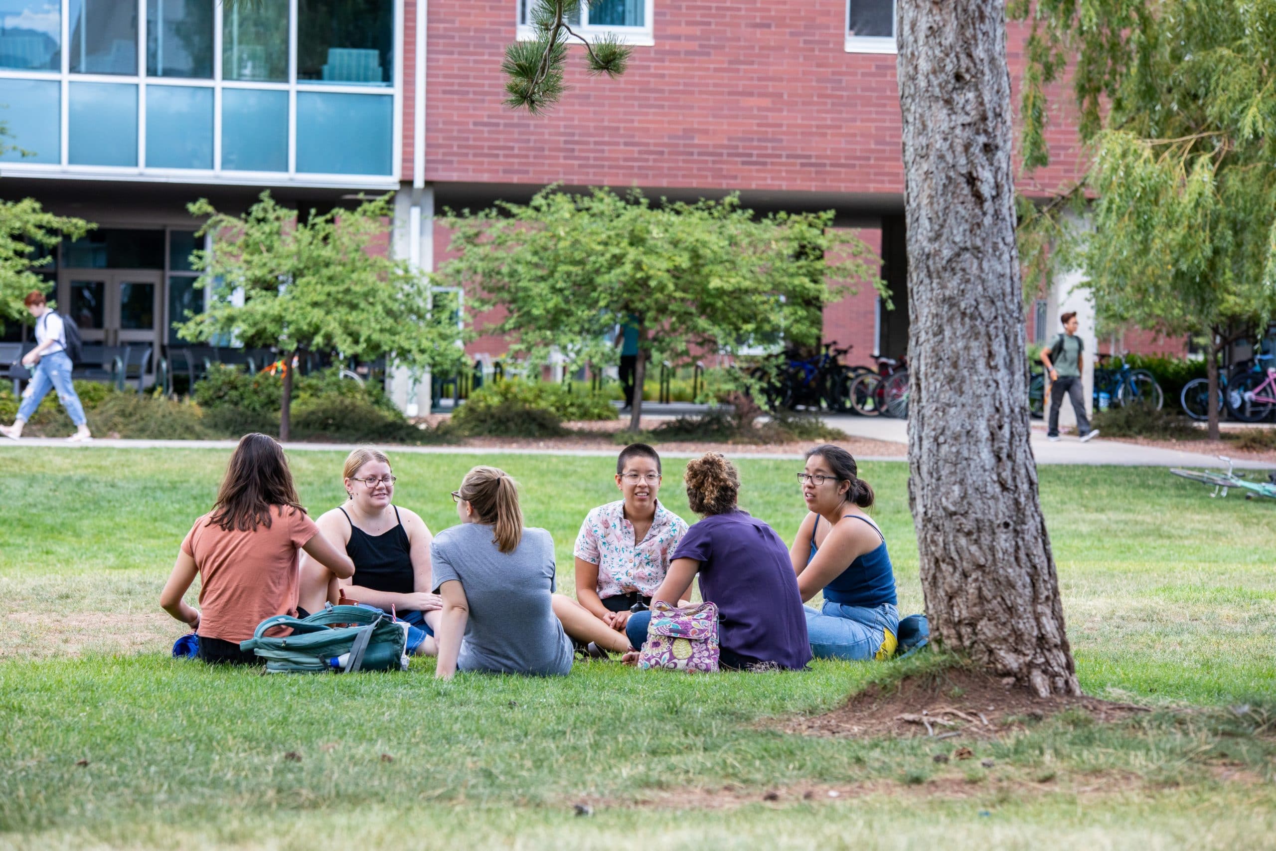 NAU students sitting outside under a tree.