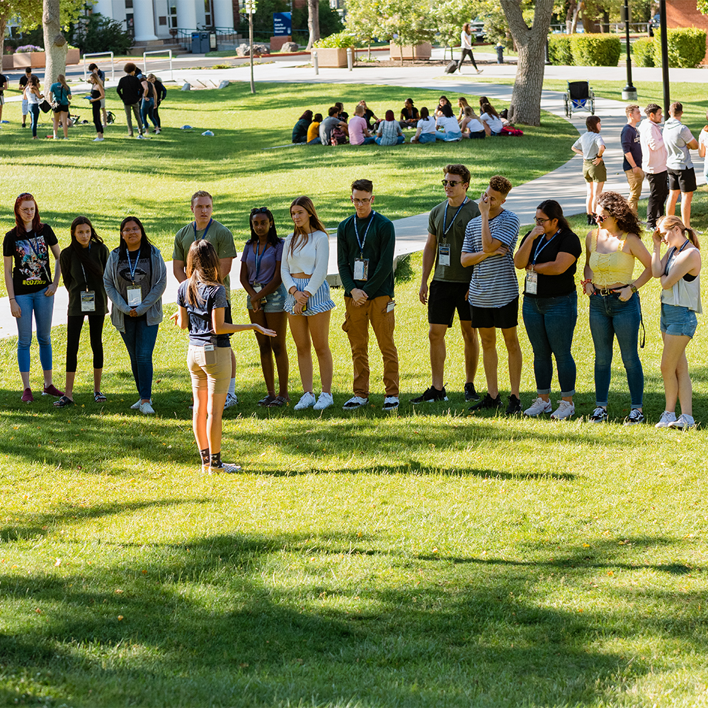 Northern Arizona University Online, Bachelor’s, Graduate NAU