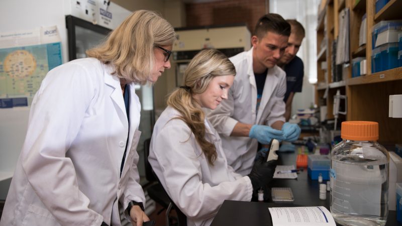 Undergrad researchers join redox biologist, Tinna Traustadóttir in a lab.