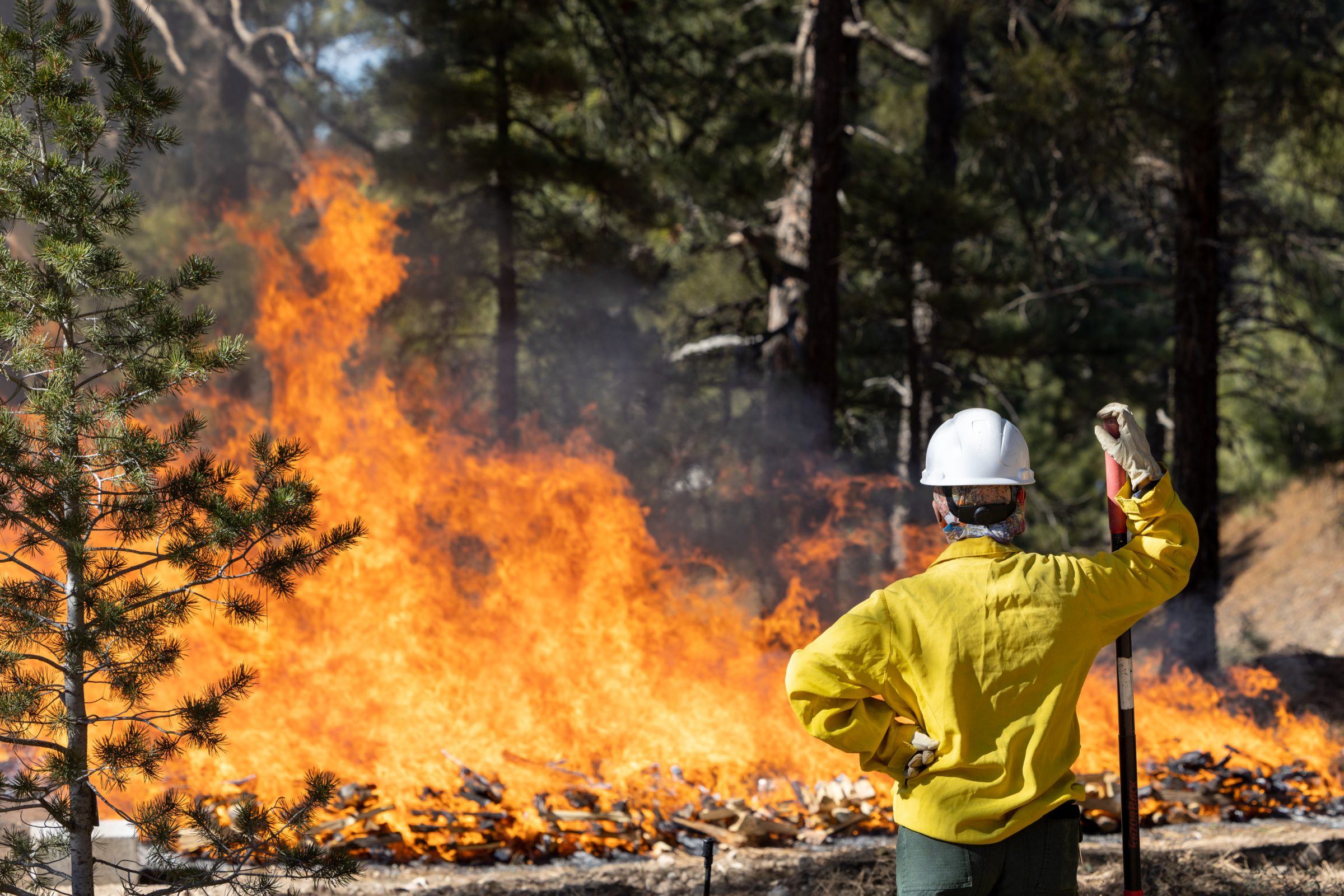 Student in protective gear watching a prescribed burn occur.