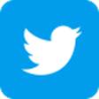 Twitter white and light blue bird logo