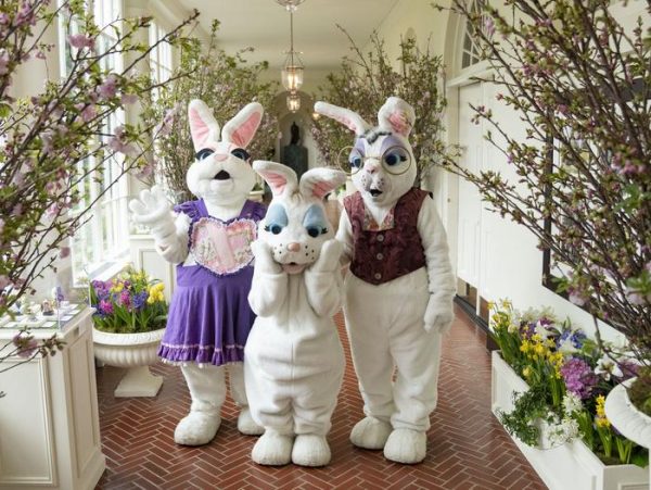 Image of 3 people dressed in Easter bunny costumes in a courtyard.