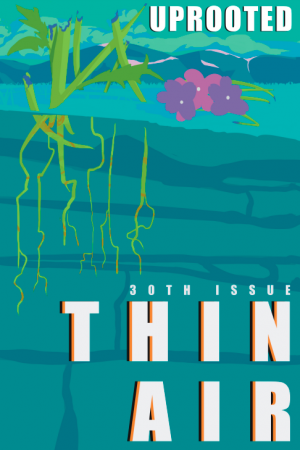 This is the cover of Thin Air's 30th Issue. There are green roots floating under blue water.