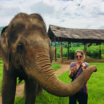 NAU student with an elephant in Southeast Asia.