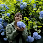 NAU student holding a huge blue flower.