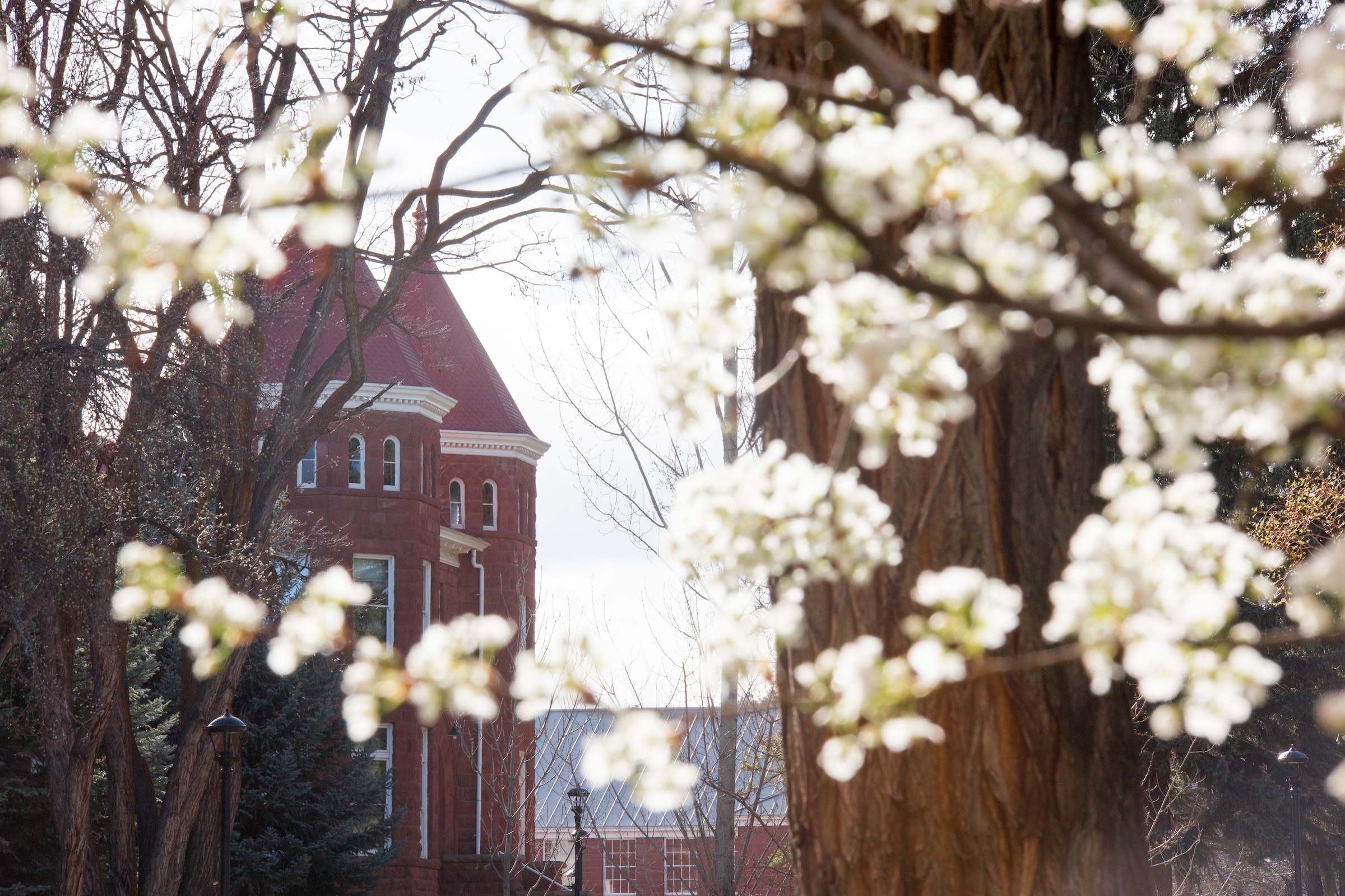 Student Profiles | University Honors College