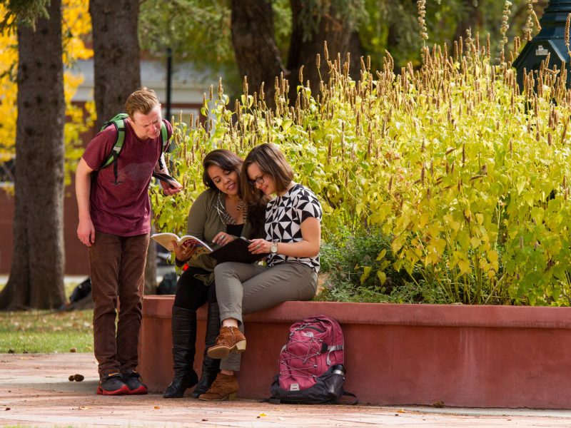 Students sit outside on a fall day, comparing notes from their text books.