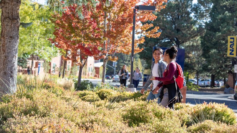 Two students walk and talk on campus with fall leaves in the background.
