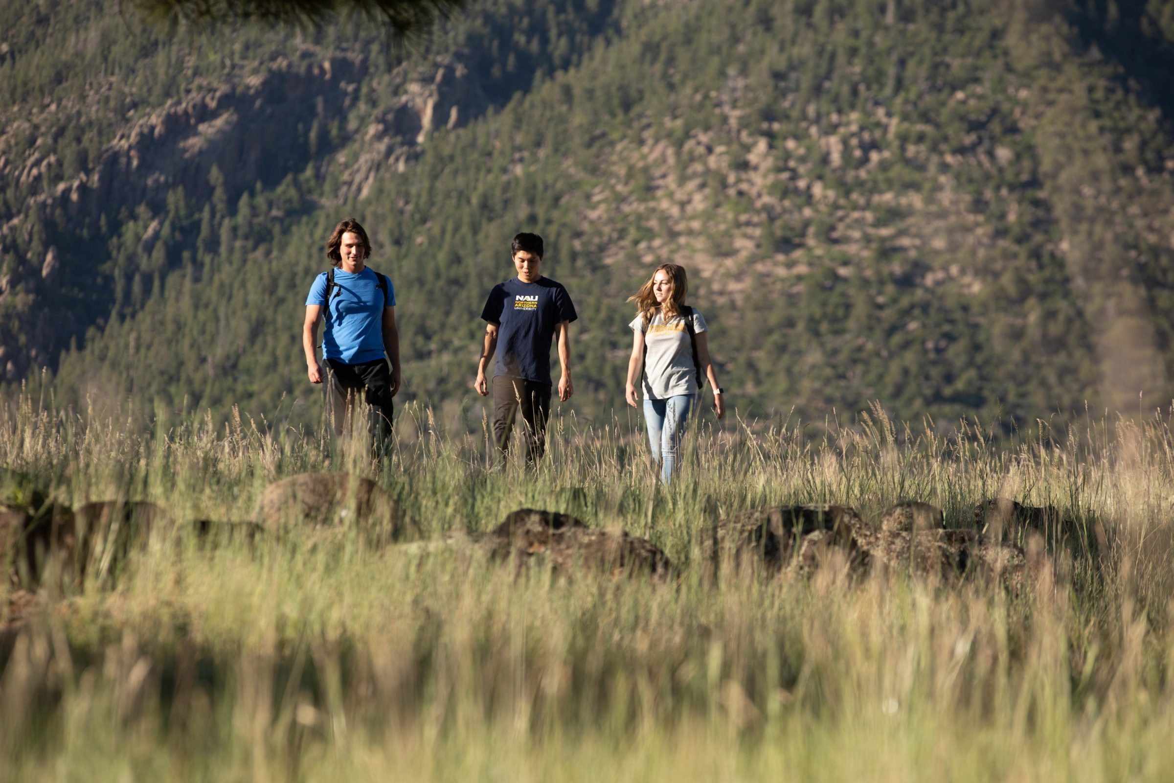 Three N A U students hiking on a summer day at Buffalo Park just outside of Flagstaff, Arizona.