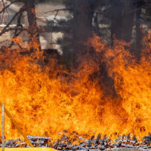 Applied Wildland Fire Science Thumbnail.