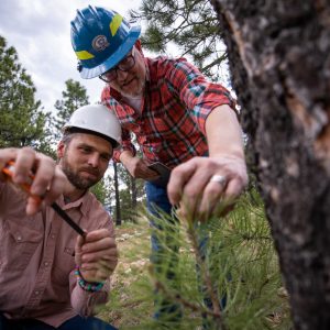 Picture to showcase the Master of Science program in the School of Forestry