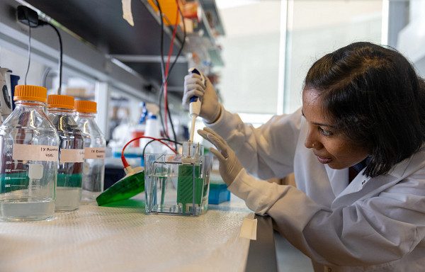 Archana Varadaraj is adding solution to a test tube and is leaning over toward it. She is wearing a white lab coat and white rubber gloves. She has short, straight dark hair and is smiling.