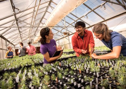 nau students in greenhouse studying plants
