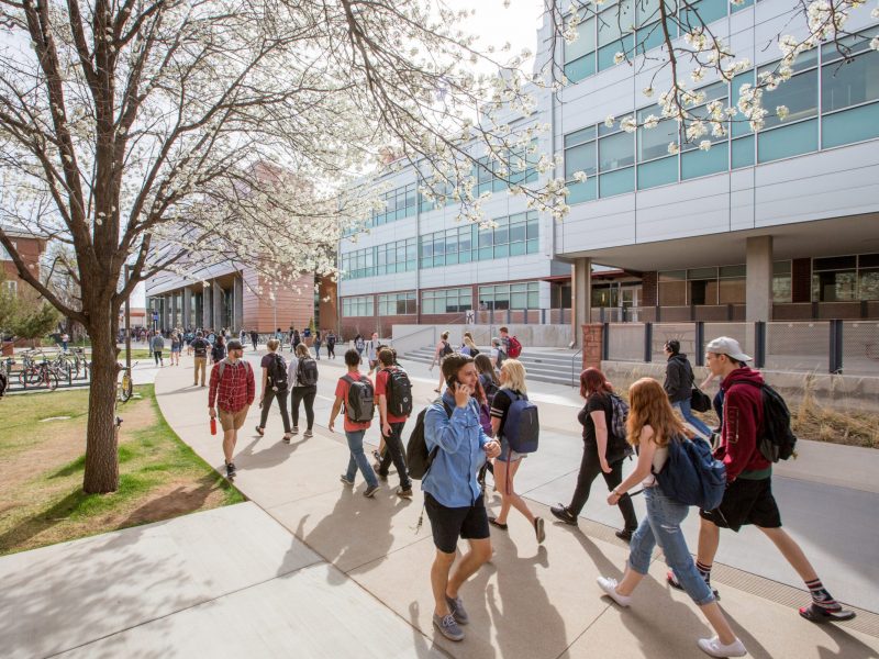 Candid photo of many students walking outside campus on a sunny spring day.