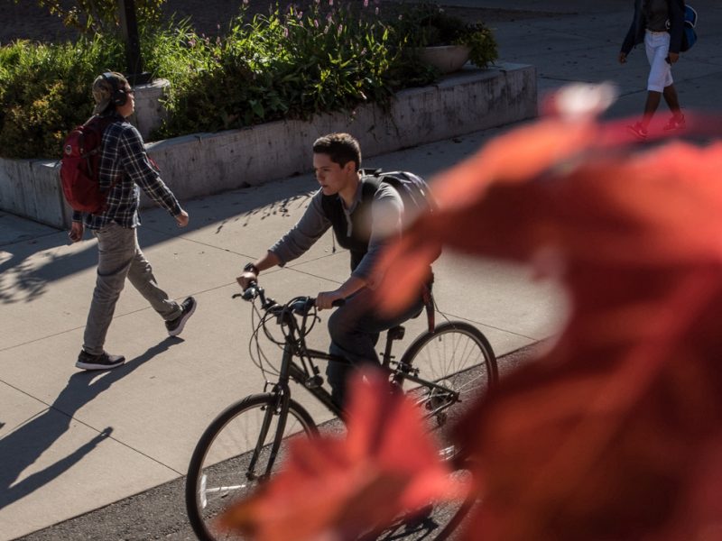 Student riding their bike on campus in the fall.