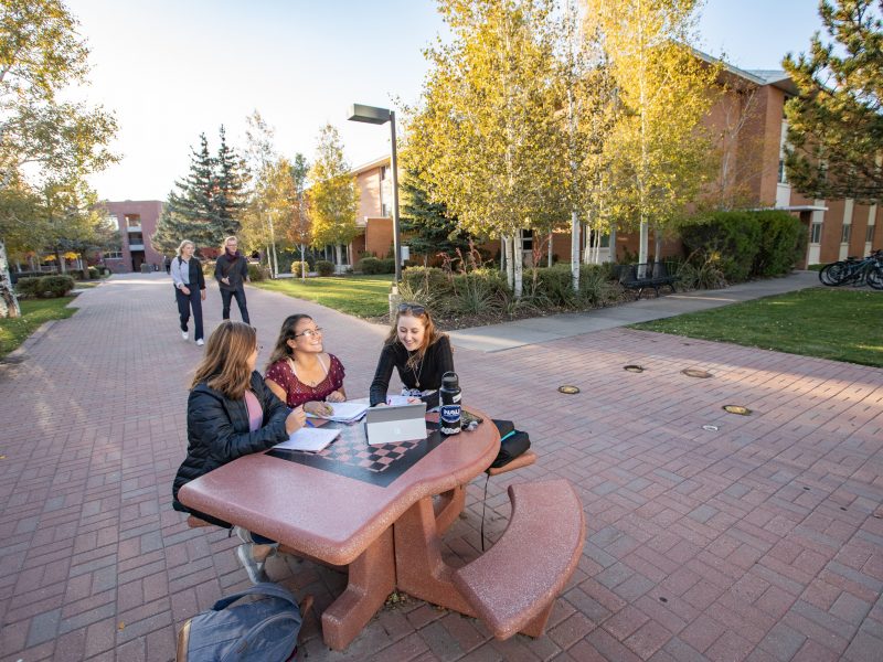 NAU students sit outside and do homework together.