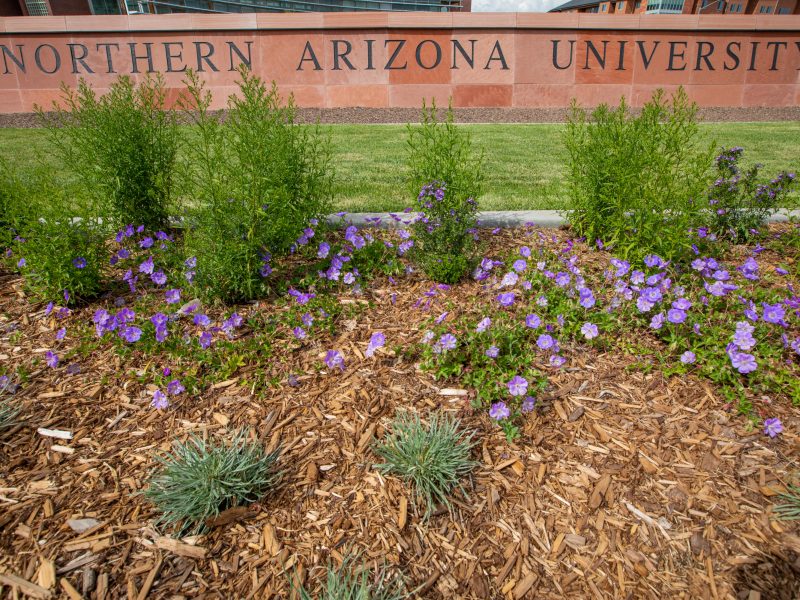 The NAU brick sign outside the west entrance to the university.