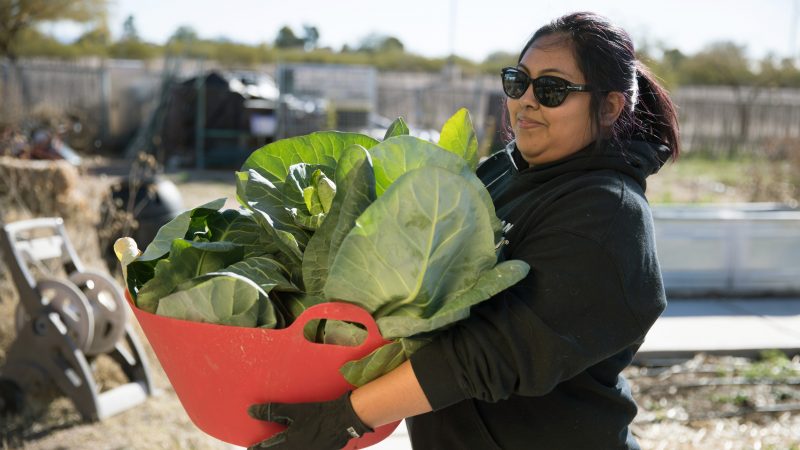 Person wearing sunglasses and holding up freshly-picked greens.