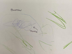 A paper with green and purple scribbles, with the labels "burrow" and "turtle"