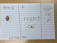 Child writing sample of words rock, pebble, and grain, with drawing of each word.