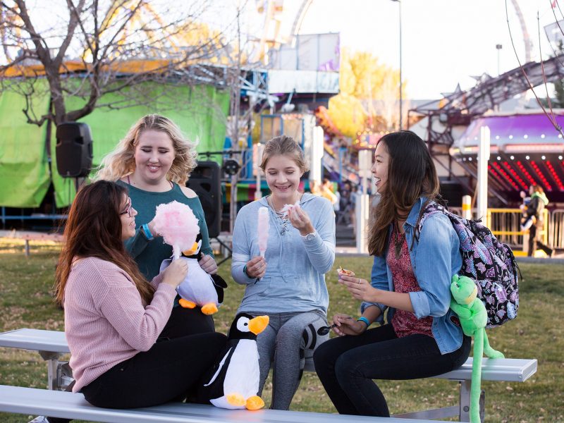 Students eat cotton candy on bench