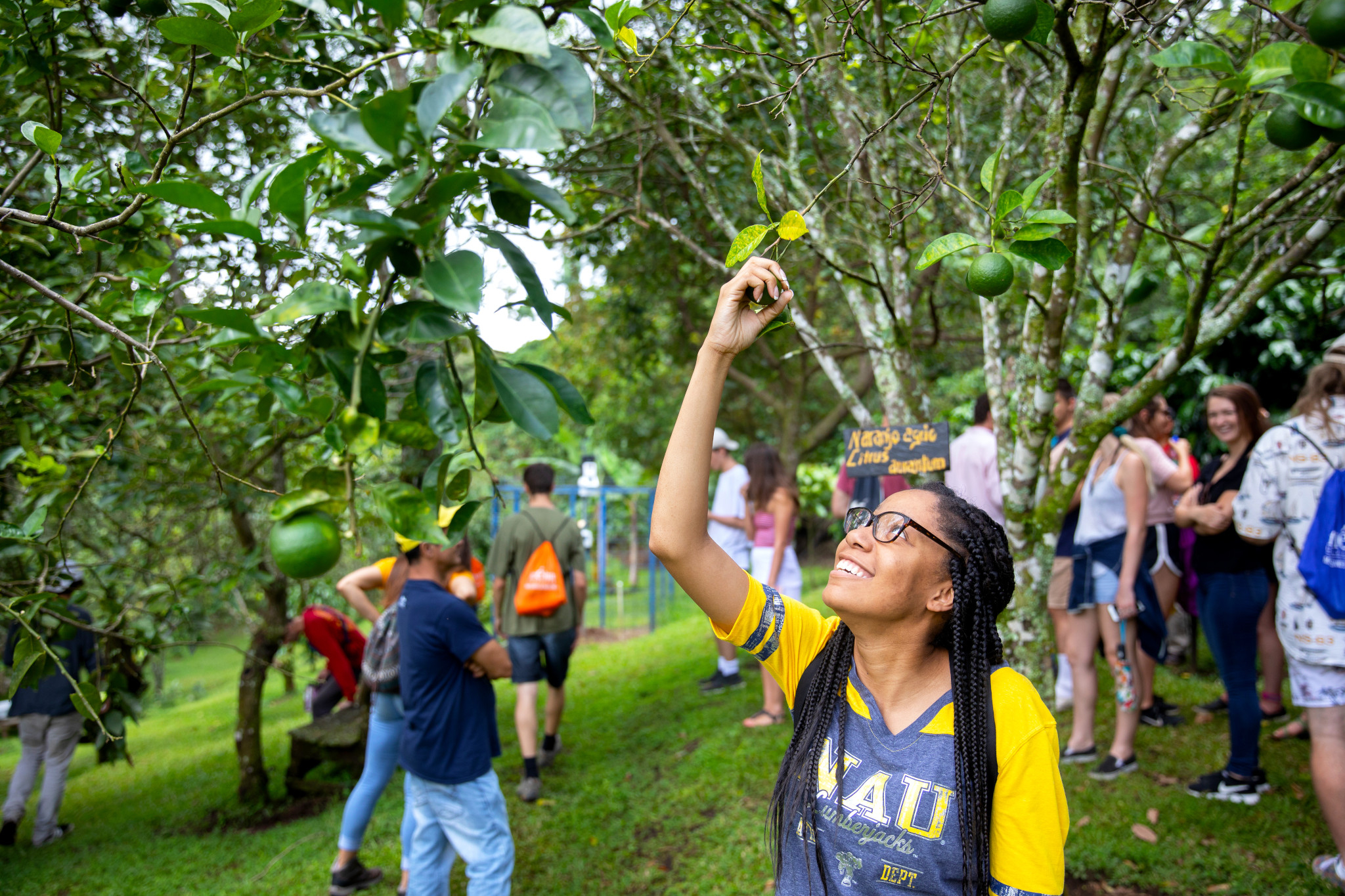 A study abroad student reaches out to a leaf on a tree branch.