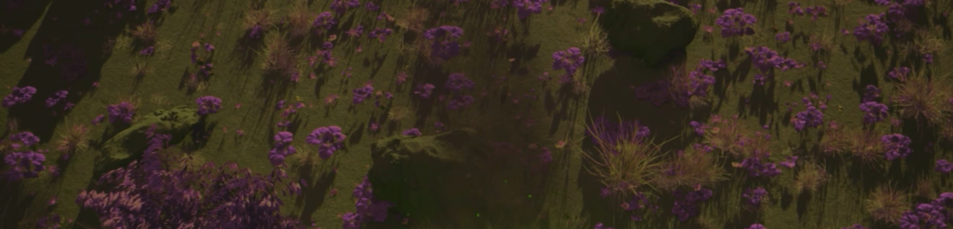 Animation shot by Jaewook Lee of purple flowers in a green field.