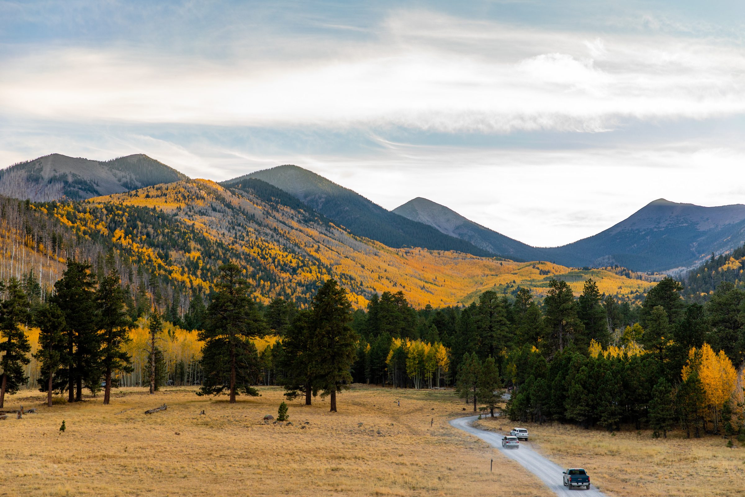 Photo of Lockett Meadow during the fall time.