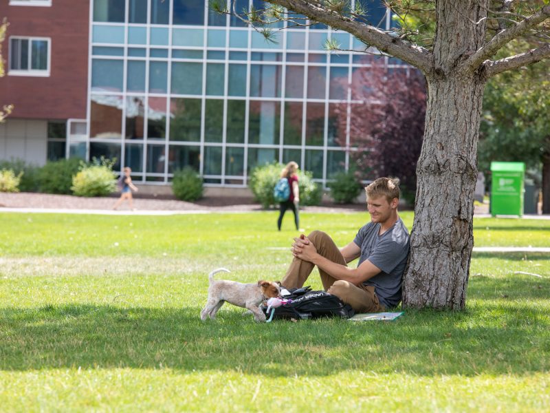 A student sits under a large tree with a puppy.