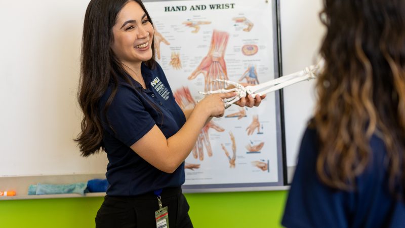 Students study the anatomy of a human hand.