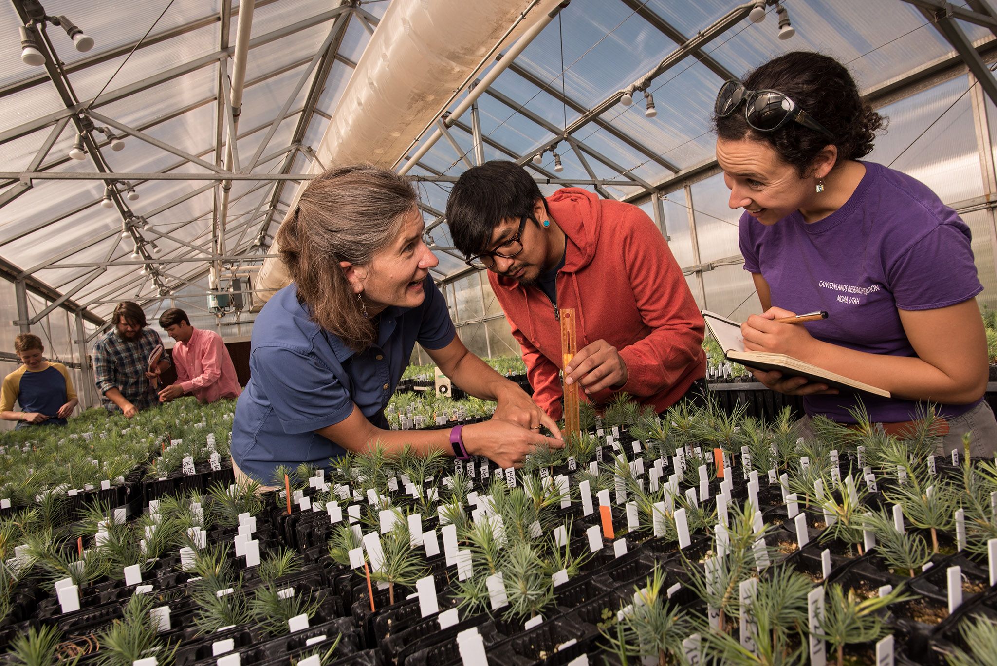 Students and professor in a greenhouse.