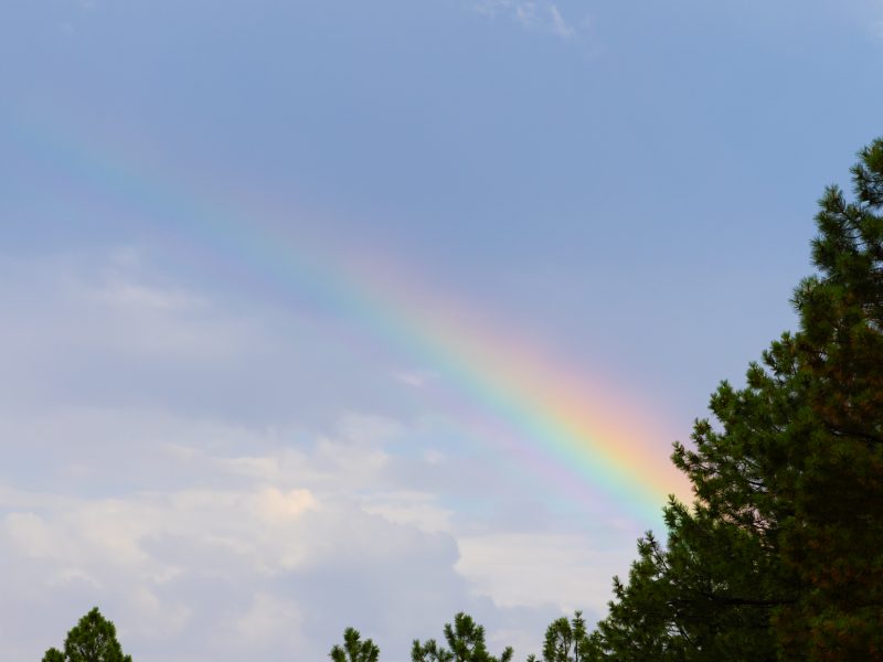 A rainbow in Flagstaff