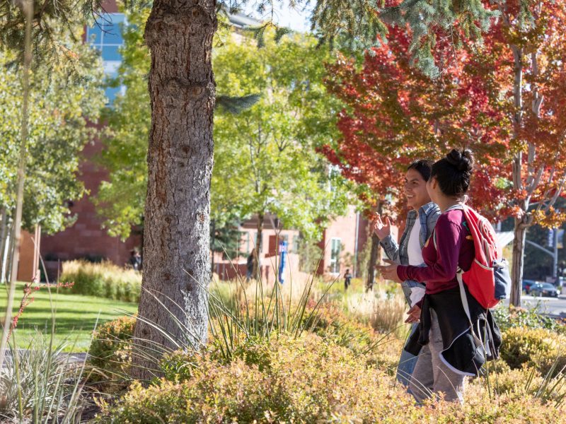 Two student walking and talking together on campus.