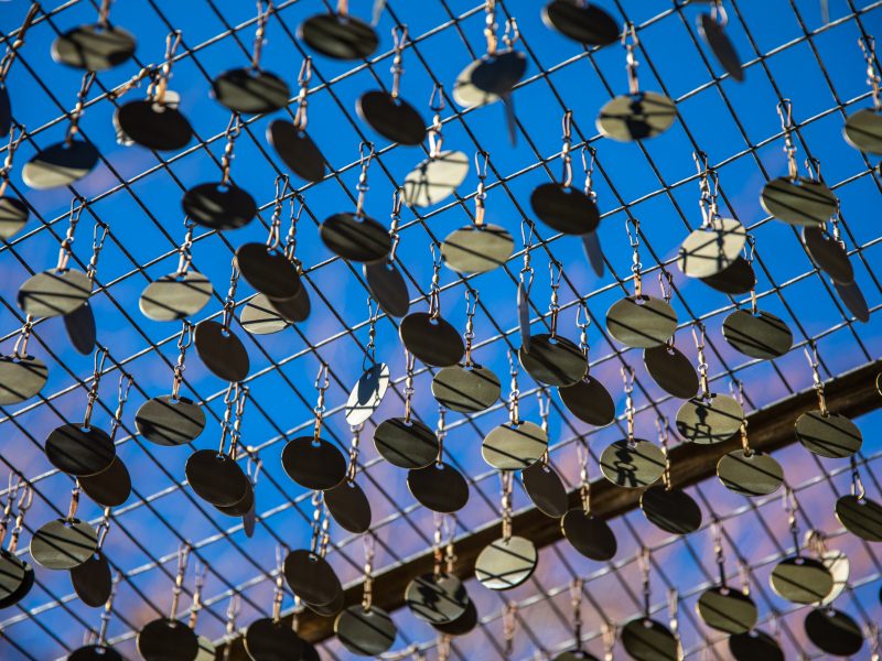 A close up of the Ponderosa Tremuloides sculpture's brass tags.