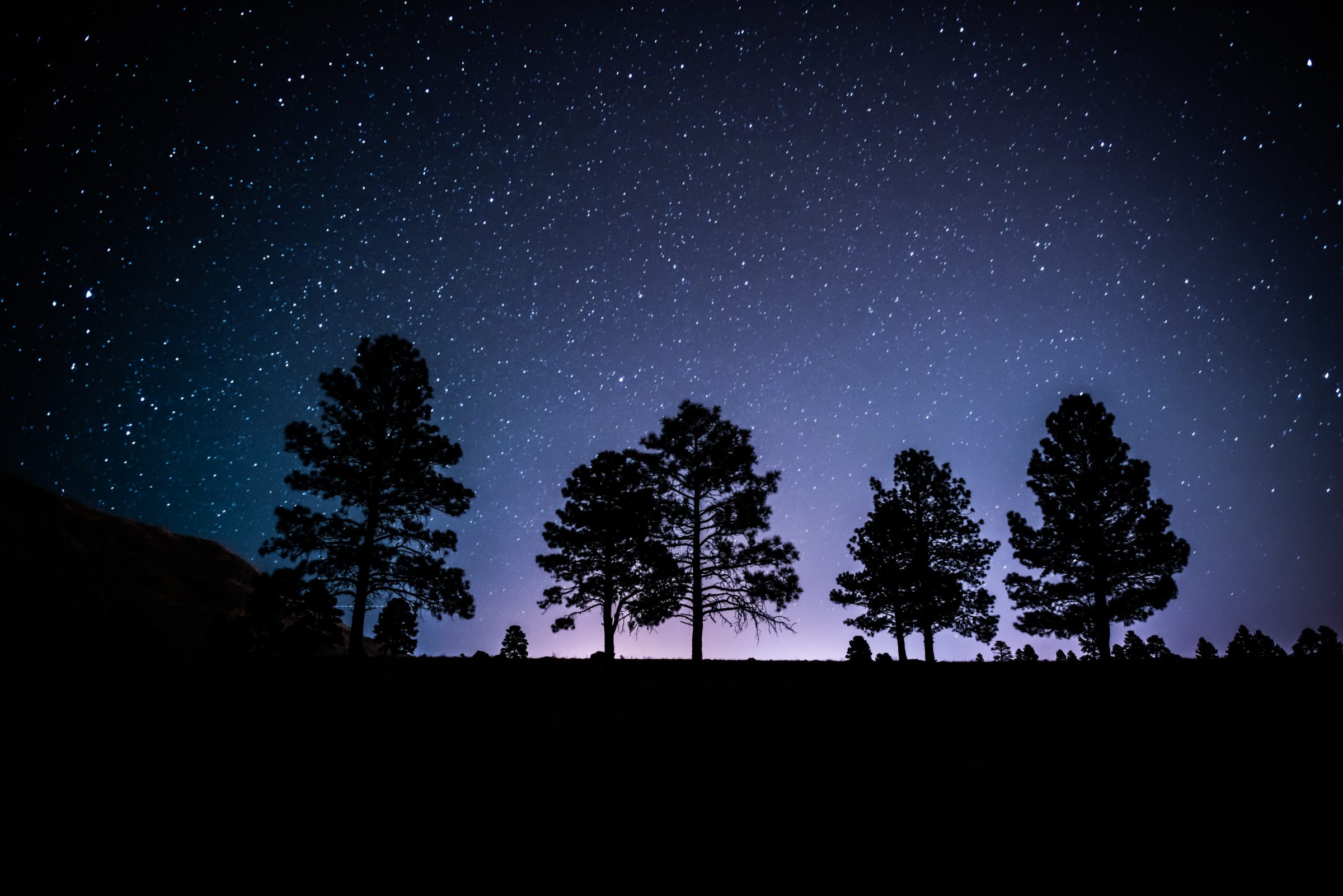 A night sky filled with stars and shadows of trees in the distance.