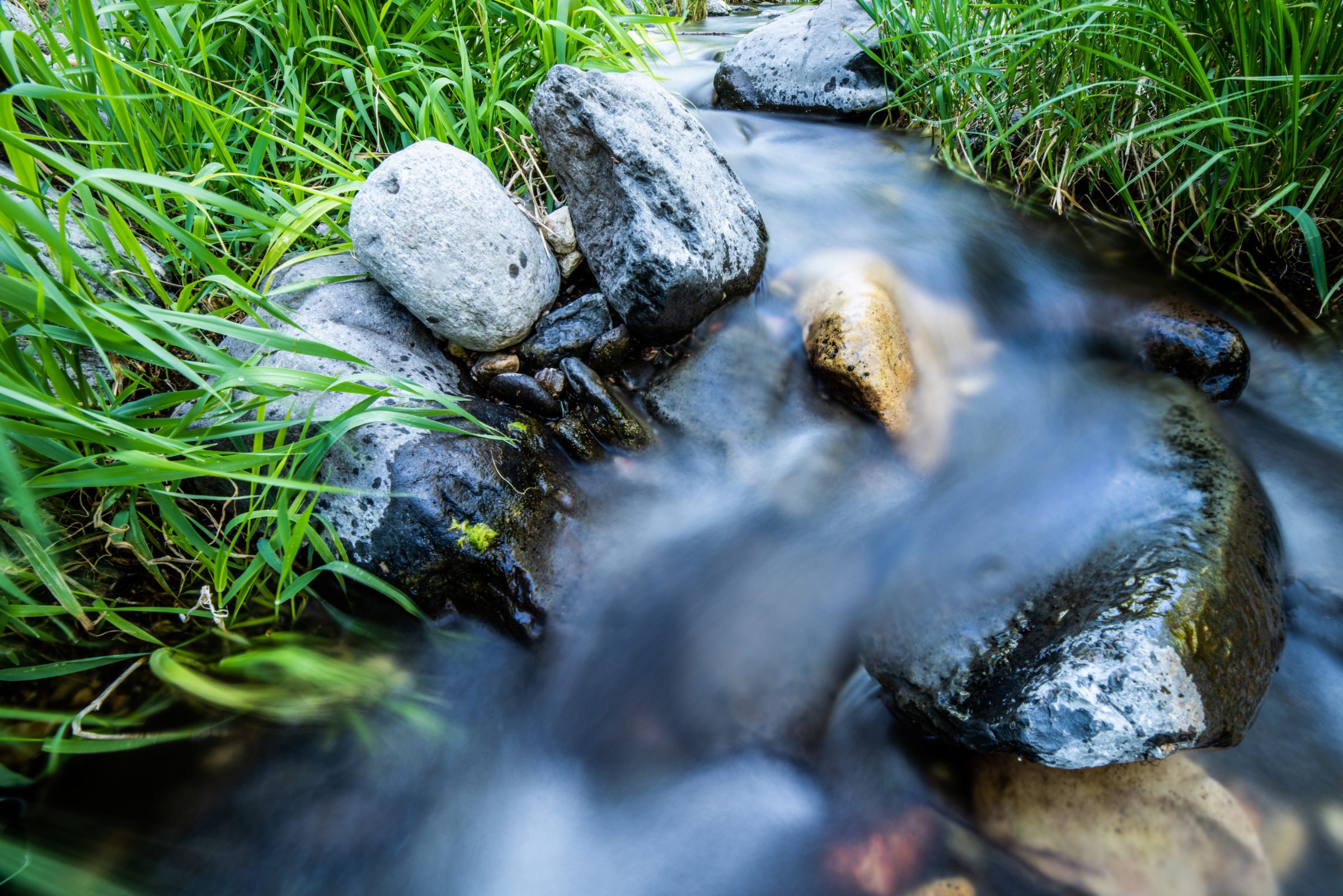 Grass, rocks, and running water at Oak Creek.