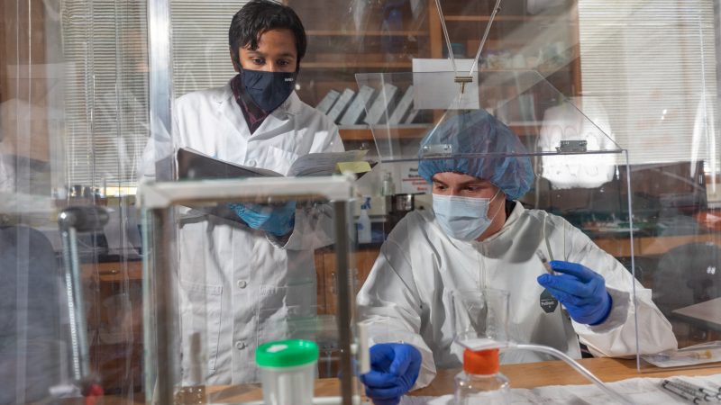 A photo of students working in a sterile lab environment.