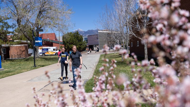 A photo of flowers and students walking.
