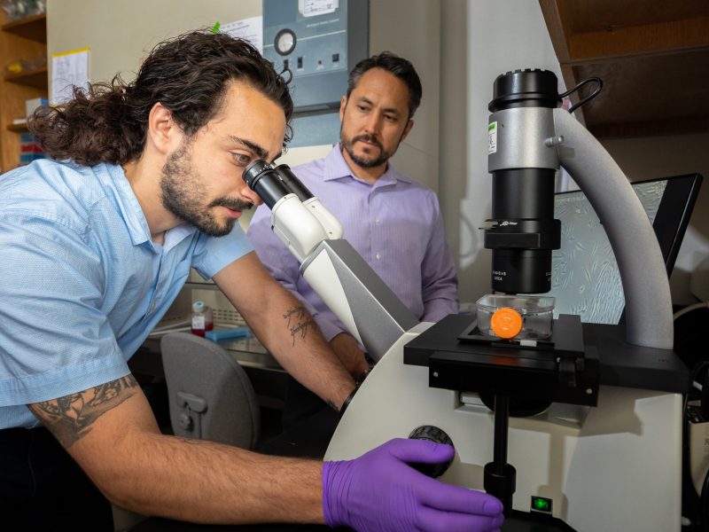 Student looking through a microscope while professor observes.